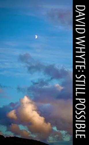 Cover of Still Possible by David Whyte
