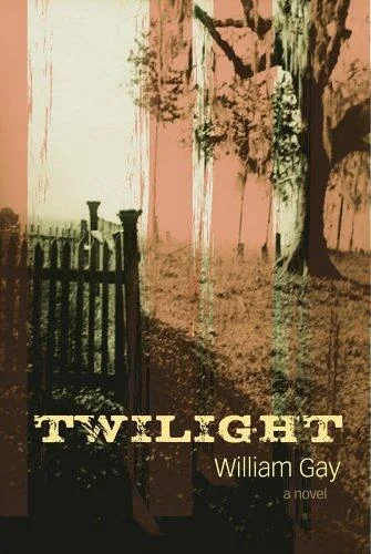Cover of Twilight by William Gay