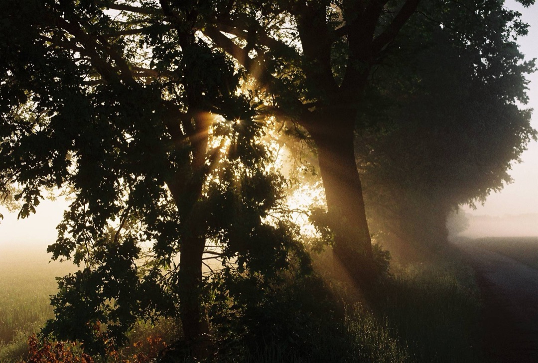 Photograph by henningschwenker