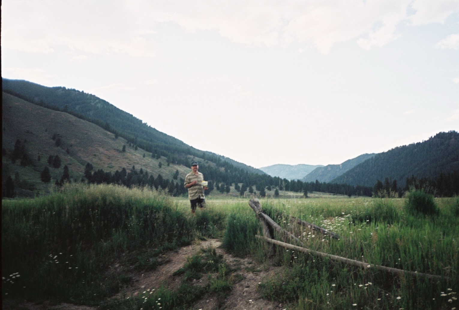 Photograph by _aidan