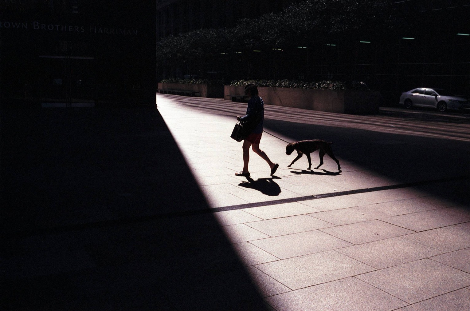 Photograph by duffman