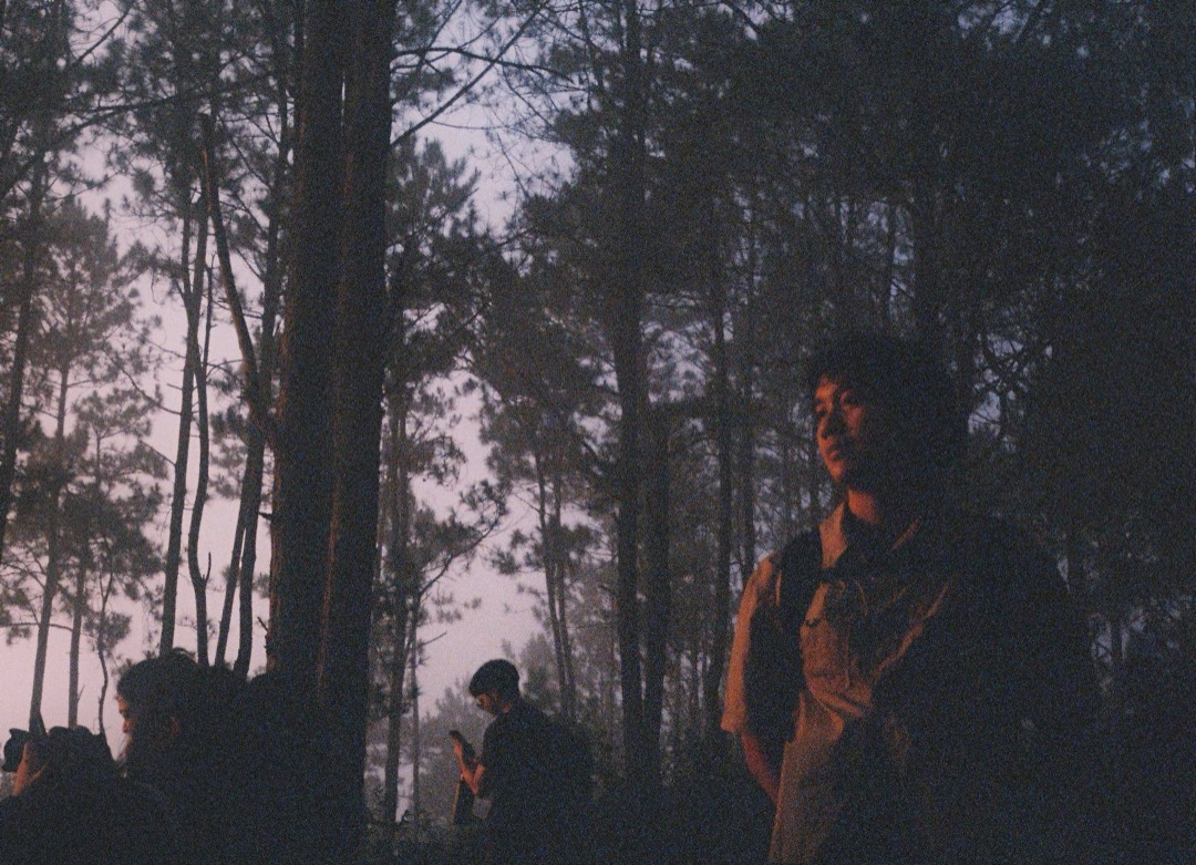Photograph by indigotrees