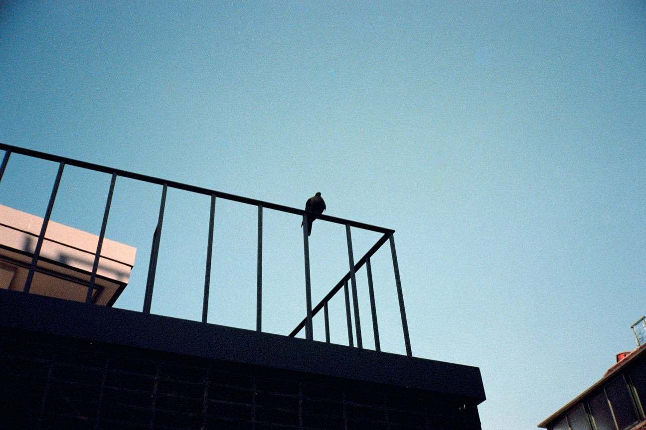 Photograph by antmac