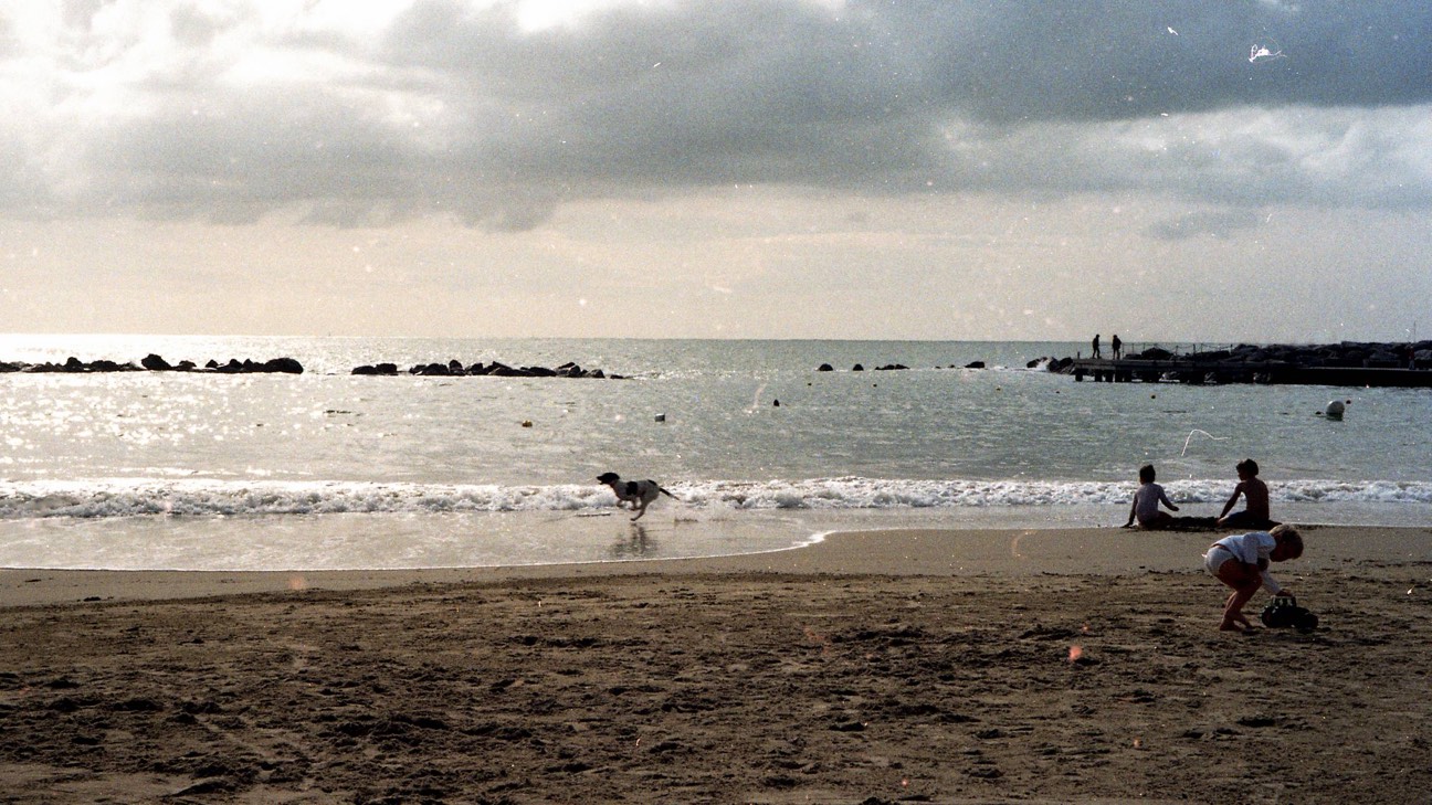 Photograph by l3mon