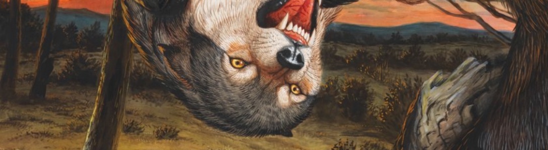 Photograph, artist unknown